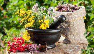 herbs for potency